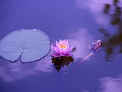 Cosmic Love (528 Hz) [Consciousness Expansion Music]