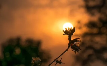 Cosmic Morning - Rising Energy 45