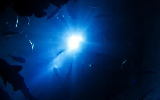 Cosmic Ocean - Cosmic Harp & Ethereal Water Soundscape