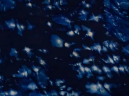 Cosmic Ocean Yoga Nidra