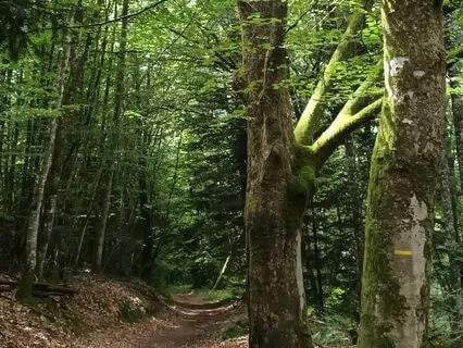 Cosmic Octave Frequency 207.67 Hz For Meditation