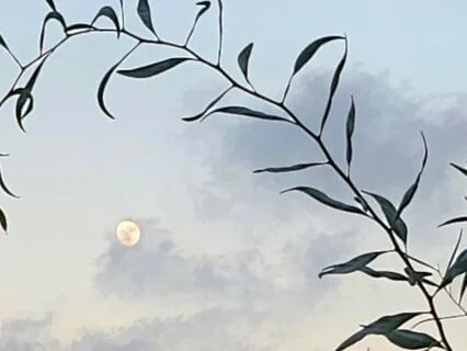 Cosmic Sleep Through Sensing