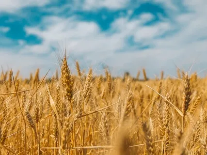 Cosmic Wishing: Bring On The Abundance