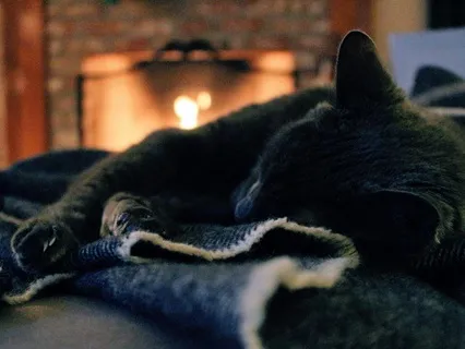Cosy Blanket
