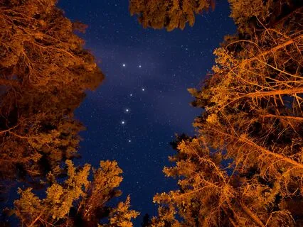 Cosy Campfire Nature Sleep Sounds