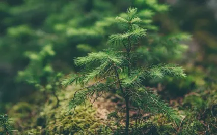 Cosy Deep Rest Exploring Heaviness And Lightness