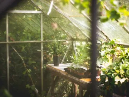 Cottage Greenhouse And The Book Of Herbs: A Sleep Story