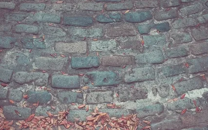 Could You Be The Love?