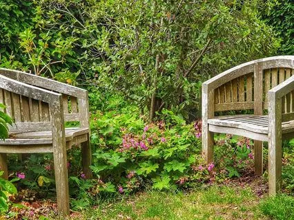 Counseling Vs. Coaching: Which Do I Need?