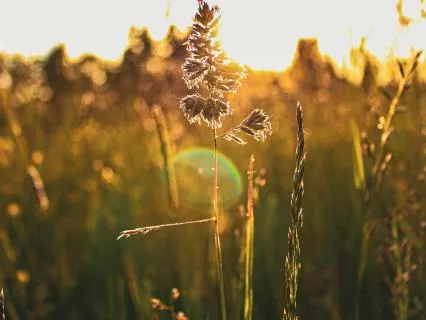 Count Down To Sleep And Release What You're Carrying