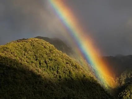 Count Down To Sleep With 50 Affirmations Letting Go