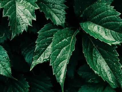 Counting Back From 20