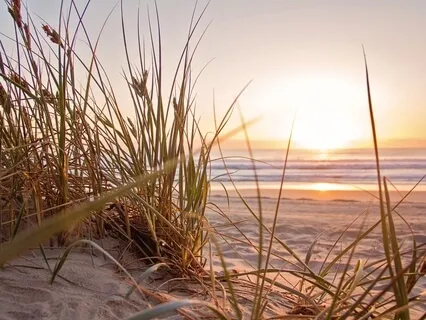 Counting Backwards Breathwork Meditation