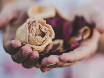 Loving Loving Kindness