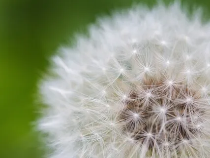 Counting Meditation To Sharpen The Observing Mind