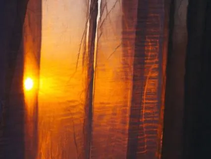 Counting The Breath Meditation