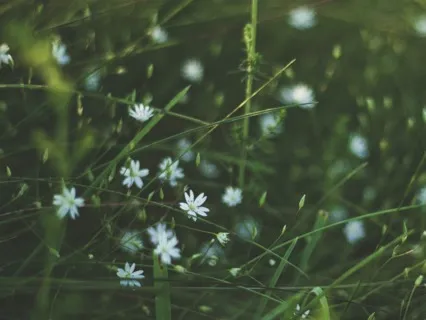 Counting The Breath To Manage Stress 