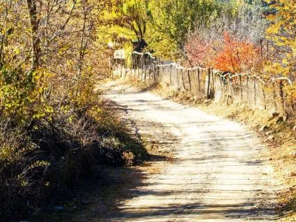 Country Road To Sleep