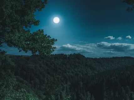 Countryside Night Ambiance