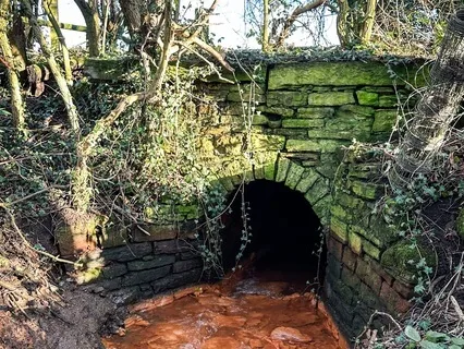 Countryside Ambience