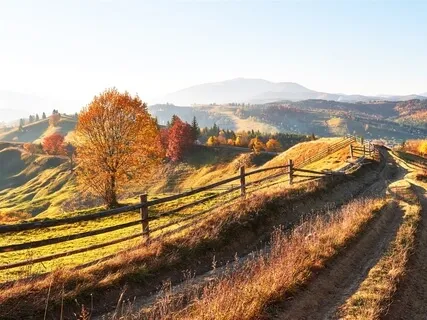 Countryside Song (Meditation Music with Nature Sounds)