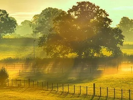 Countryside Tranquility: Sounds Of Calm