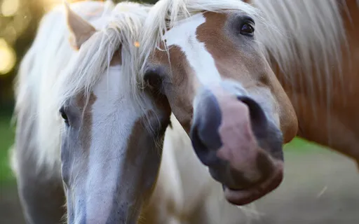 Couples Are More Than A Relationship.