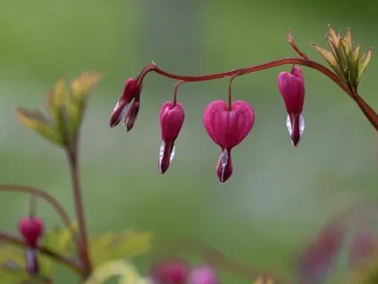 Couples: Connect With Your Partner For Love And Intimacy