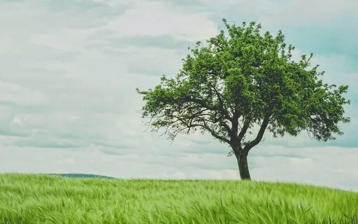 Courage – A Lion’s Roar