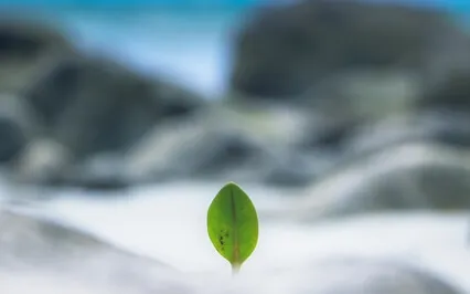 Courage – Addiction Recovery