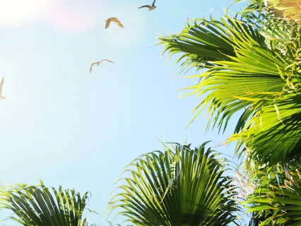 Breathe In Courage & Bravery As Needed