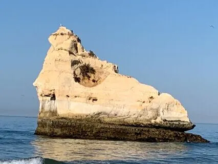 Courage And Valuing Your Life