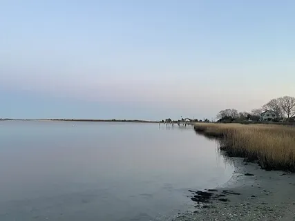 Courage Of The Heart