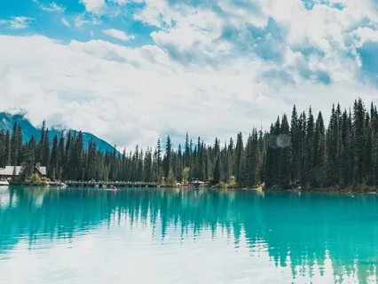 Covid-19: Future Grief