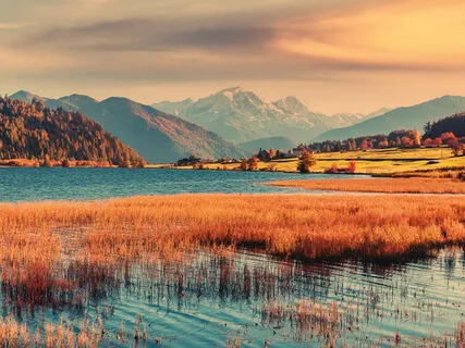 COVID-19 Healing Practice