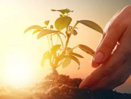 COVID-19 + I Year = 3 Valuable Life Lessons | Podcast S2 E52