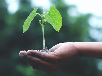 Covid Best Practices: Thriving In A Time Of Lack