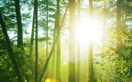 Covid Re-Integration Series #1 Of 5 "Acceptance"