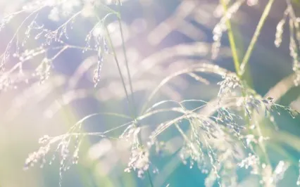 Covid Re-Integration Series #3 Of 5 "Boundaries"