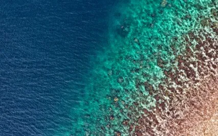 Covid Re-Integration Series #4 Of 5 "Managing Anxiety"