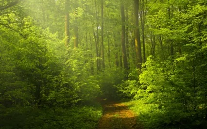 Covid Re-Integration Series #5 Of 5 "Belonging"