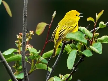 CoVid-19, On The Other Side Of Grief