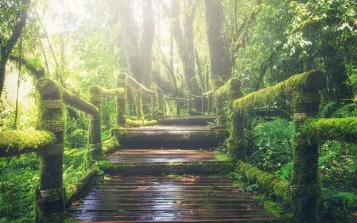 Cozy & Restorative 10-Minute Visualization 