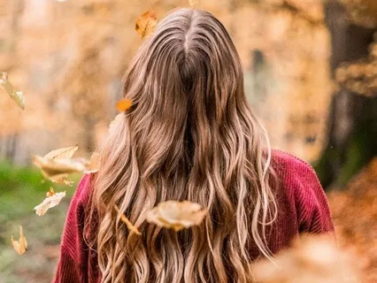 Cozy Autumn Equinox Meditation