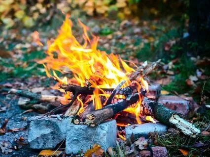 Cozy Autumn Night Ambience 2H Rustling Leaves Howls
