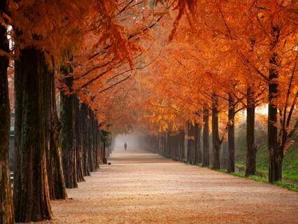 Cozy Autumn Nights | Slow Piano, Wind & Crackling Fireplace