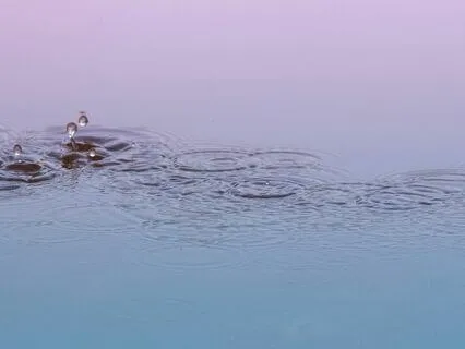 Cozy Countdown To Sleep