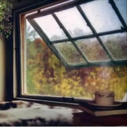 Cozy Fall Rain Vibe + Spiritual Detox And Cleansing Energies