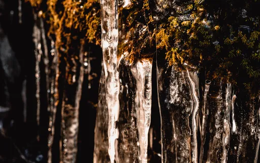 Cozy Guided Meditation