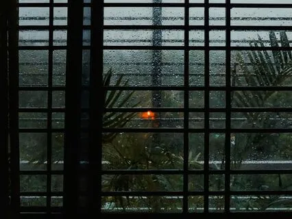 Cozy Rainstorm Sounds & Healing Frequencies For Relaxation